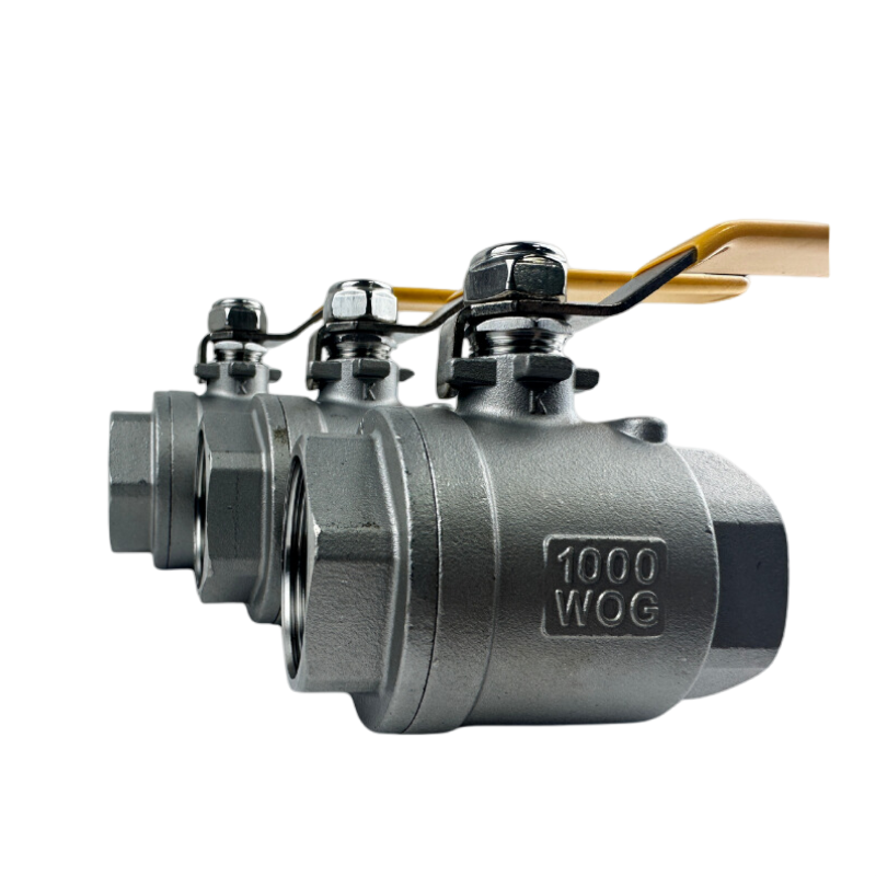 Cast Steel Bellow Seal Globe Valve